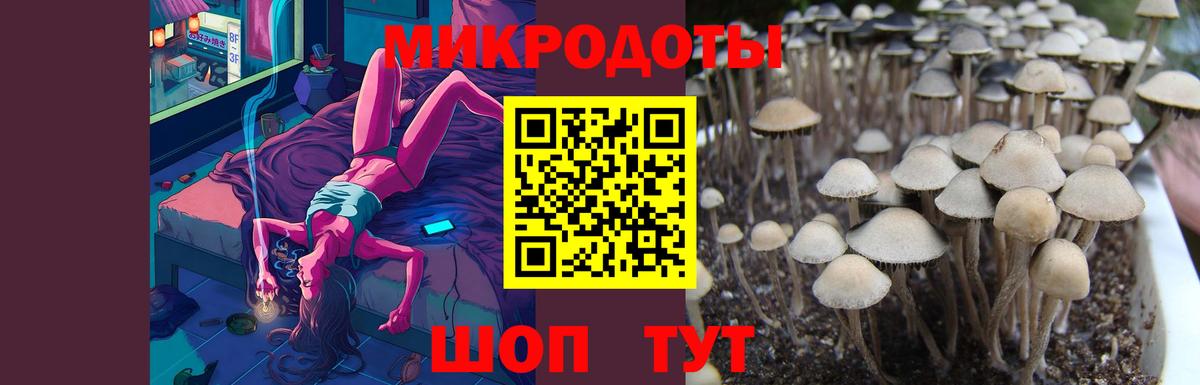 Псилоцибиновые грибы Magic Shrooms Калач-на-Дону