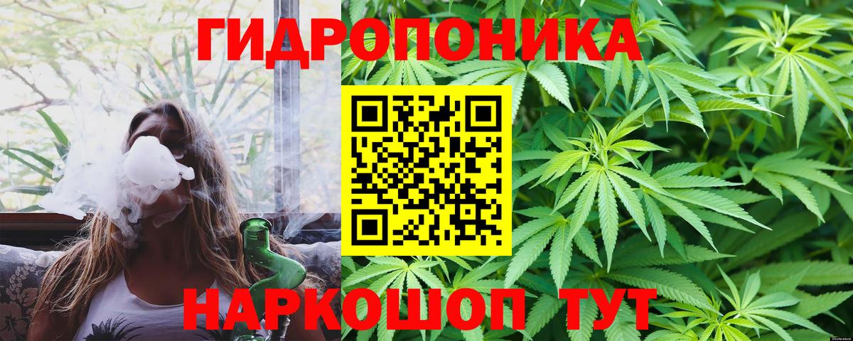 Каннабис индика  Канабис планчик  Калач-на-Дону  Шишки марихуана семена  Вход с VPN 